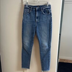 Lee Classic Blue Skinny Jeans